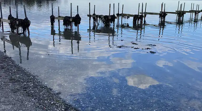 Ferielejlighed i Hejlsminde Badehotel
