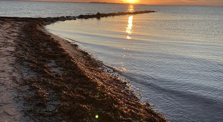 Ferielejlighed i Hejlsminde Badehotel