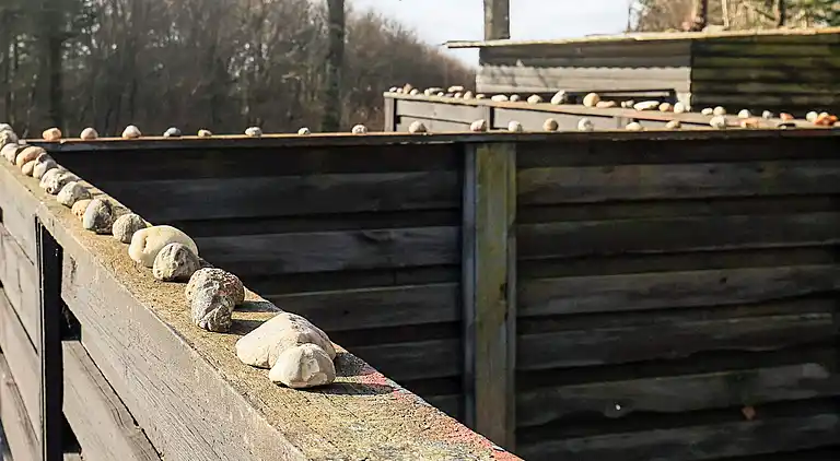 Holiday home in Spøttrup