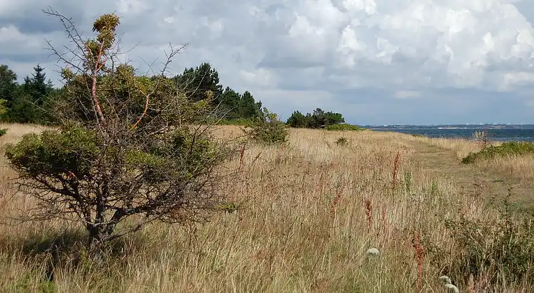 Feriebolig i Øster Assels