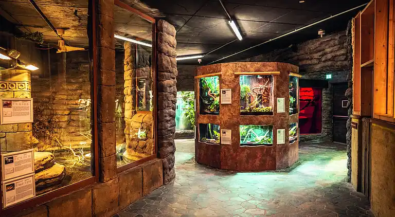 Apartment in Weissenhäuser Strand