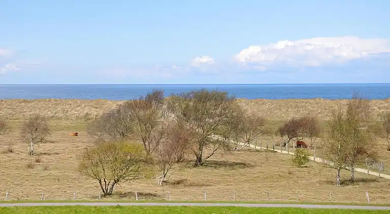 Apartment in Weissenhäuser Strand