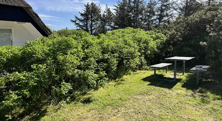 Feriebolig i Ulfborg