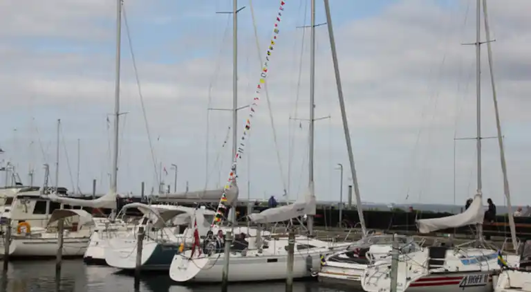 Hyggeligt og velindrettet sommerhus i Hornbæk