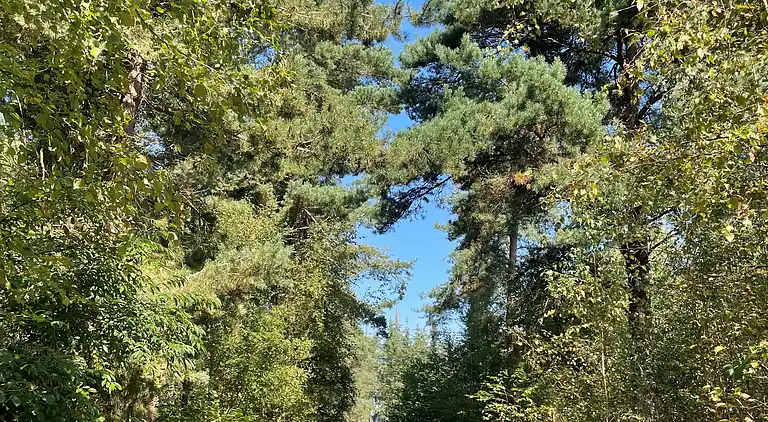 Charmantes neues Ferienhaus in Marielyst - Bøtø
