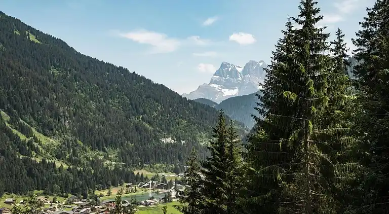 Apartment in Châtel