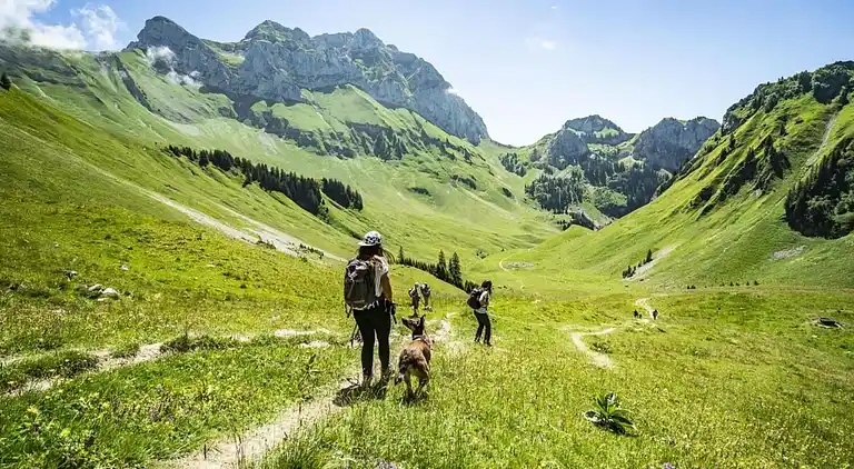 Apartment in Châtel