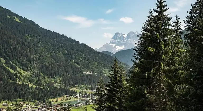 Apartment in Châtel