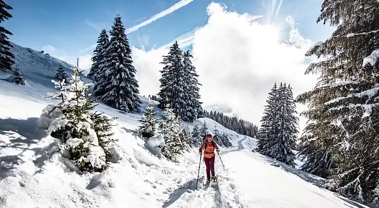 Apartment in Châtel