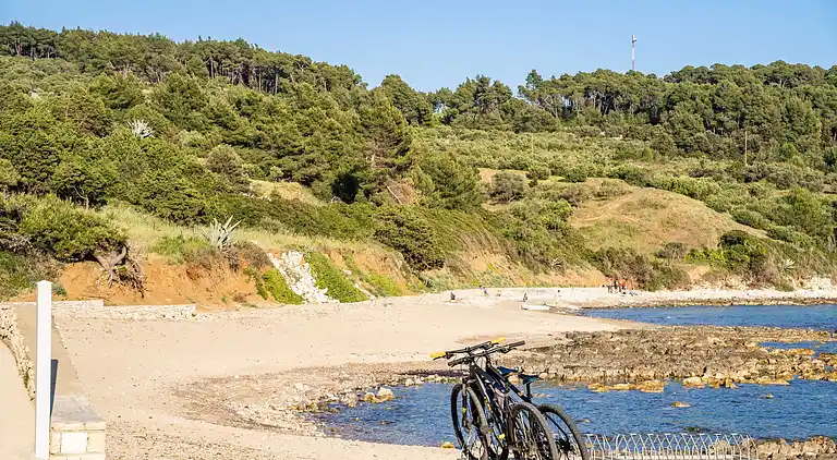 Apartment in Lumbarda