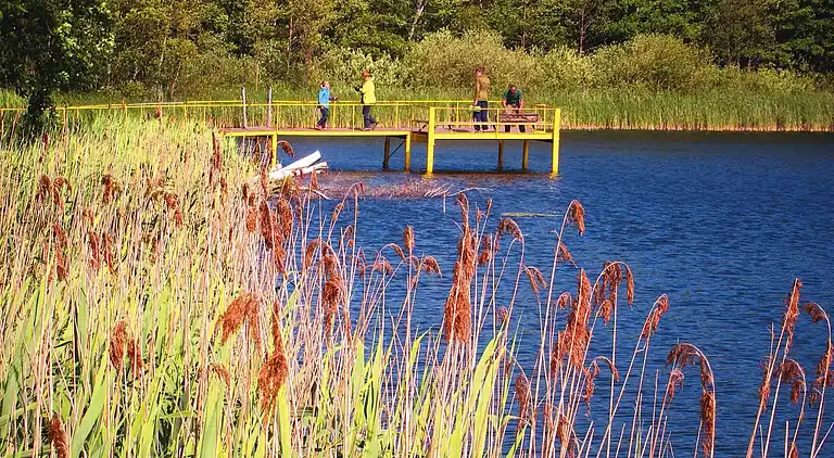 Bungalow i Dobbrikow