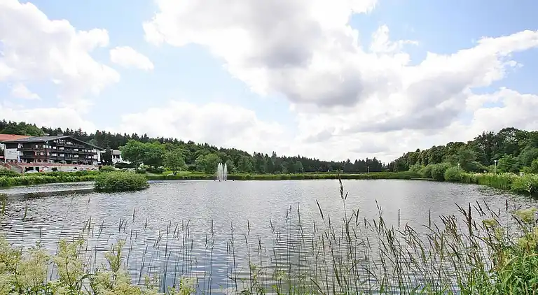 Ferienwohnung in Hahnenklee-Bockswiese
