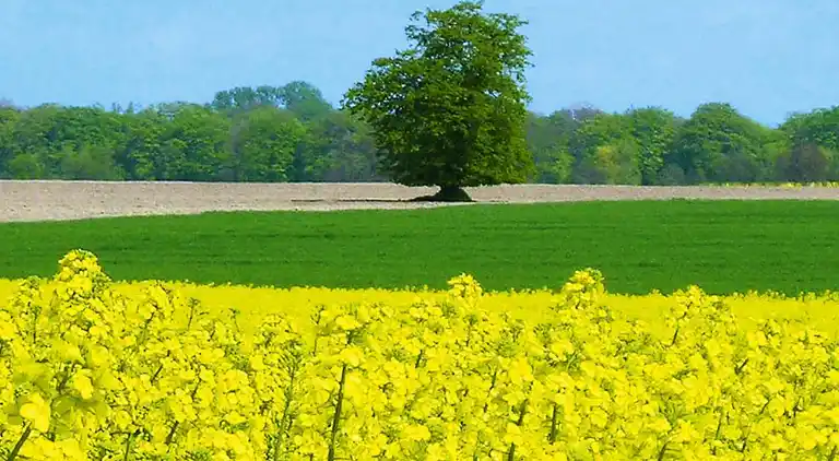 Apartment in Schwerin