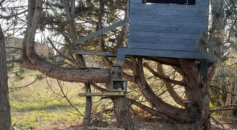 Sommerhus i naturskønt område