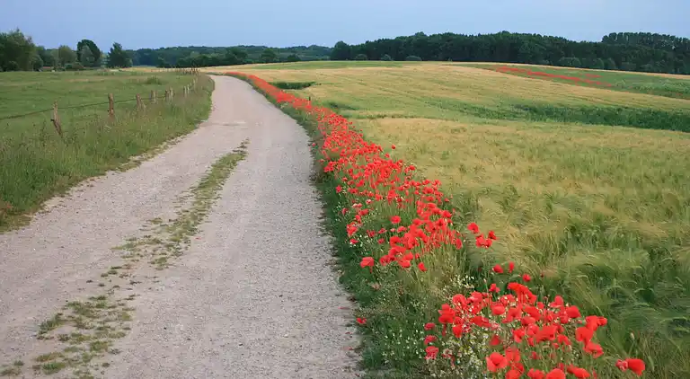 Apartment in Niederklutz