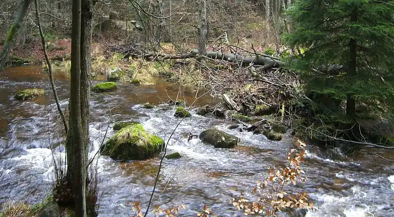 Sommerhus i Schierke