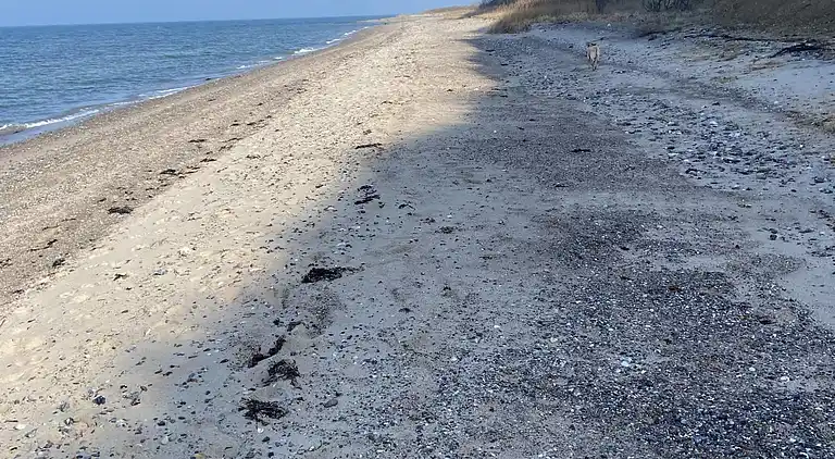 Ferienhaus in strandnähe.