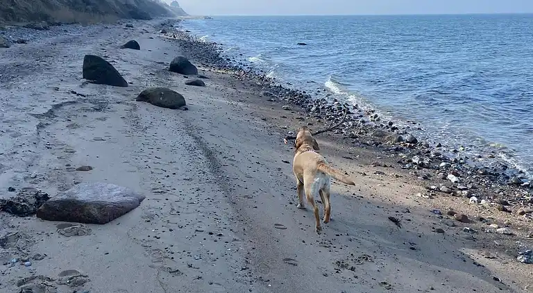Ferienhaus in strandnähe.