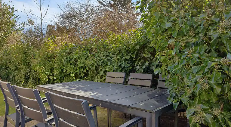 Urlaubsspaß am Strand und Haderslevs Schätze