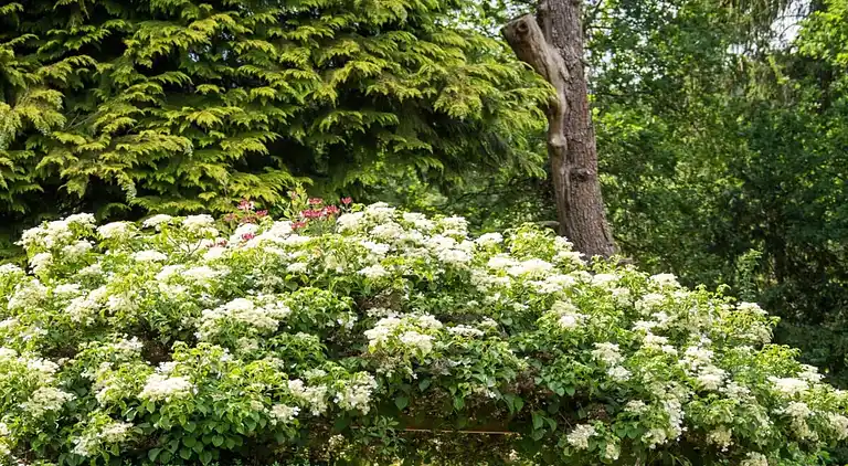 Ferienhaus in Altenbeken