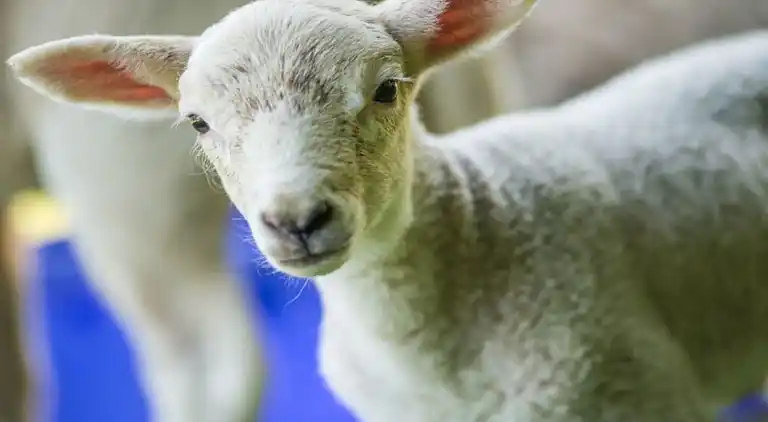 Ferienhaus in Altenbeken