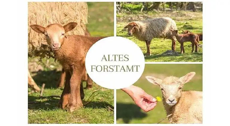 Ferienhaus in Altenbeken