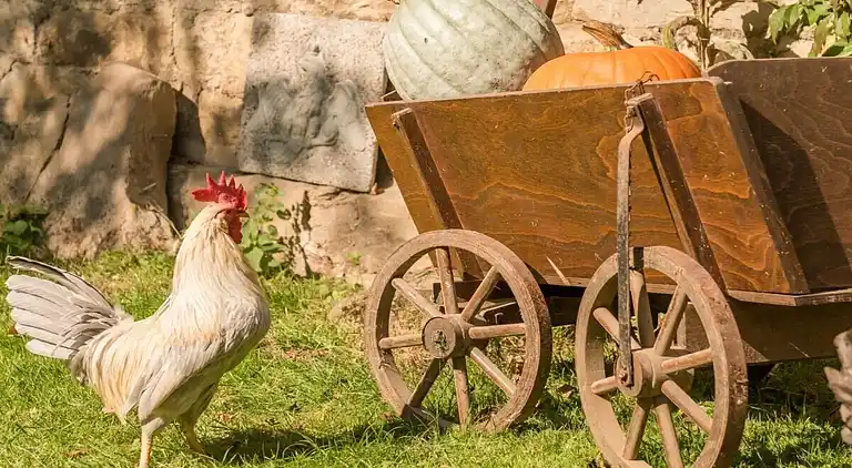 Ferienhaus in Altenbeken
