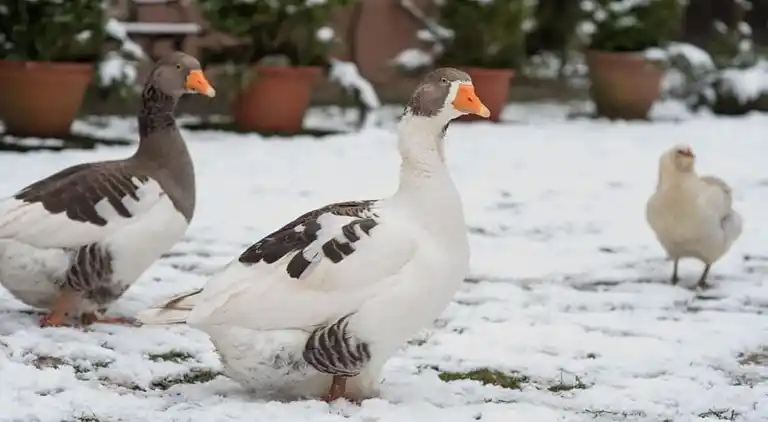Ferienhaus in Altenbeken