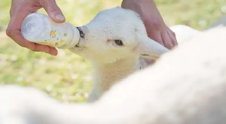 Ferienhaus in Altenbeken