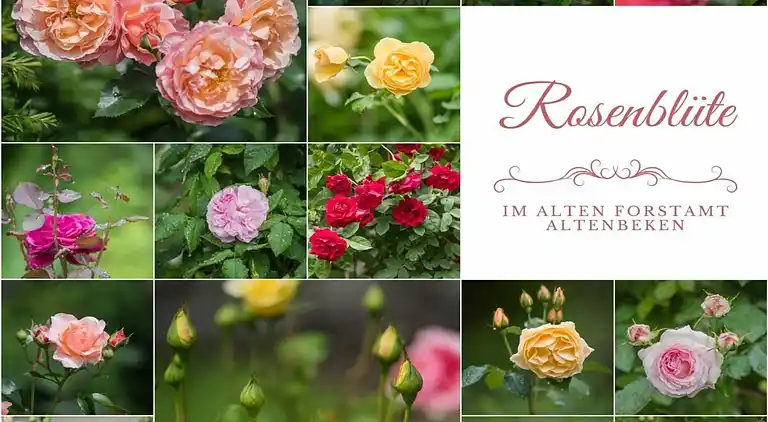 Ferienhaus in Altenbeken