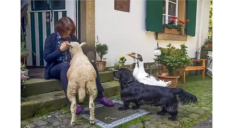 Ferienhaus in Altenbeken