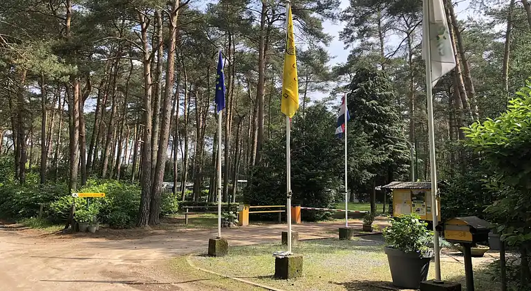 Cottage in Wechelderzande