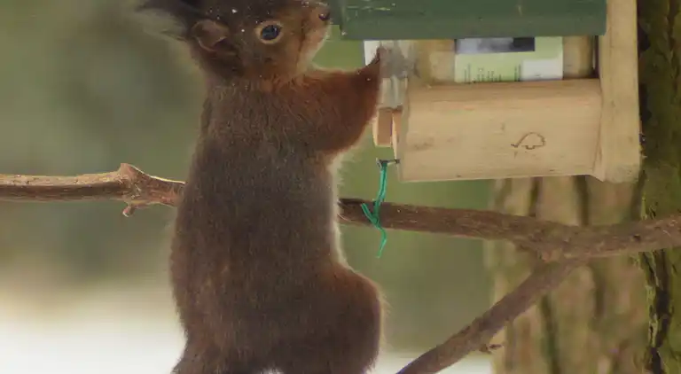 Cottage in Wechelderzande