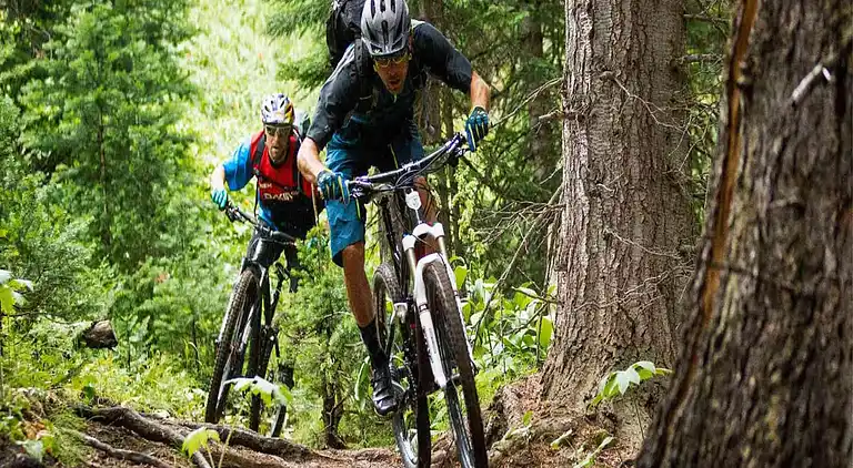 Cottage in Wechelderzande