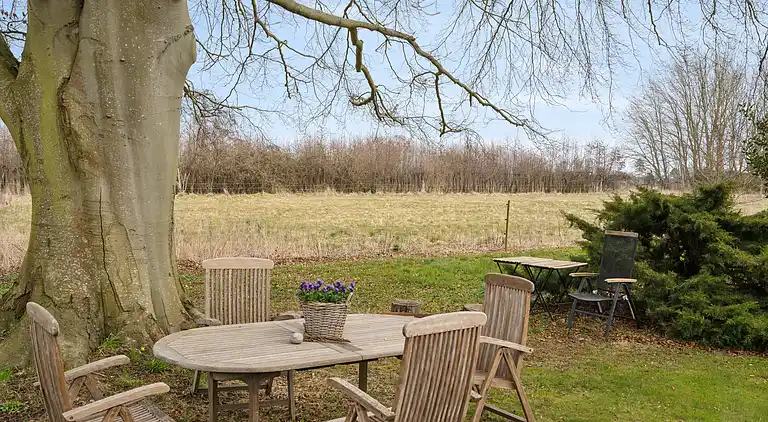 Rummeligt sommerhus tæt på naturoplevelser