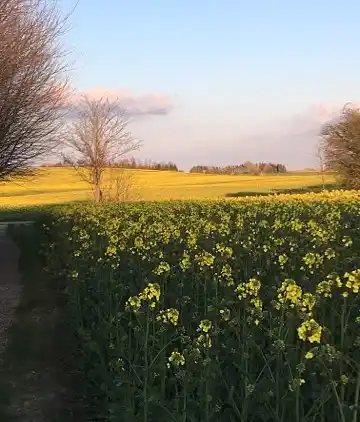 Schönes Haus mit tollem Blick auf Femø