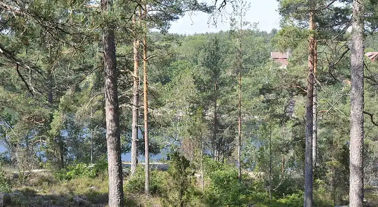 Feriebolig i Oskarshamn N