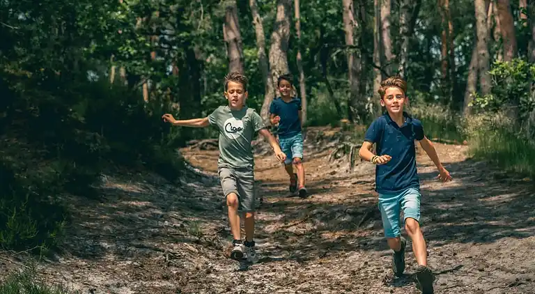 Sommerhus i Brunssum