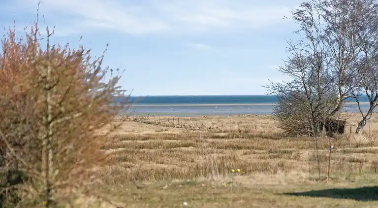 Schönes, helles Haus nahe dem Strand in der Natur