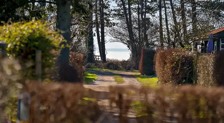 Sommerhus tæt på skov & strand