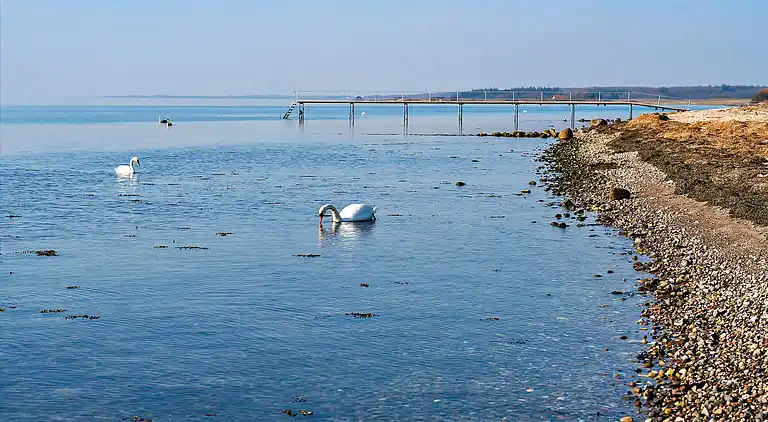 Sommerhus tæt på skov & strand
