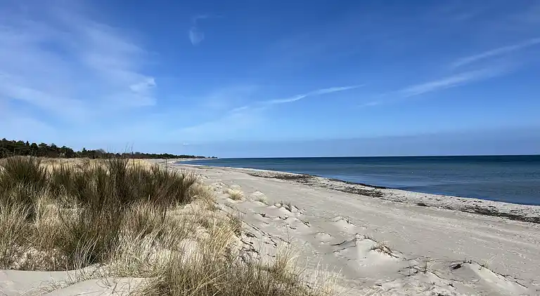Urlaub nahe einem Topstrand in Dänemark