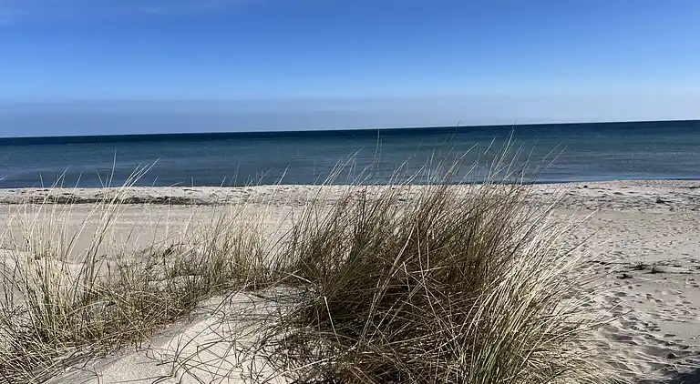 Urlaub nahe einem Topstrand in Dänemark