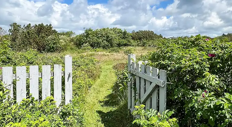 Sommerhus i Lodbjerg Hede