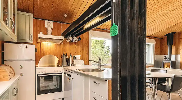 Holiday home in Thisted