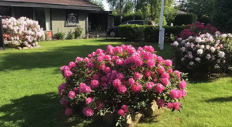 Schönes Ferienhaus mit Pool nahe Havnsø Strand