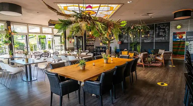 Cottage in Egmond aan den Hoef