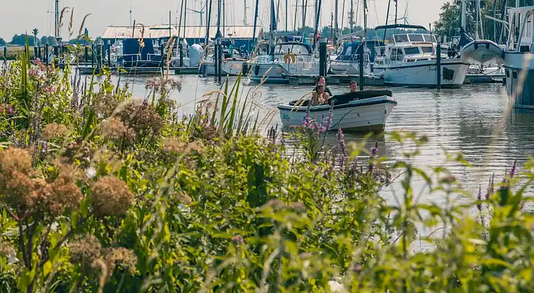 Hytte i Dordtse Biesbosch