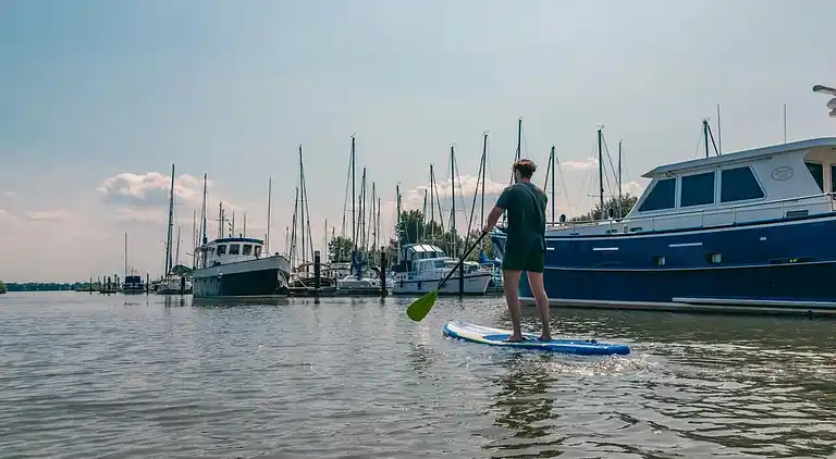 Hytte i Dordtse Biesbosch