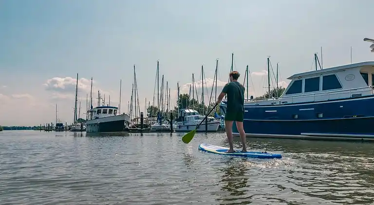 Hytte i Dordtse Biesbosch